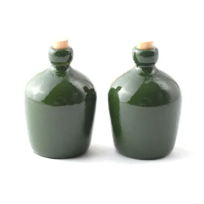Carboy bottles x 2