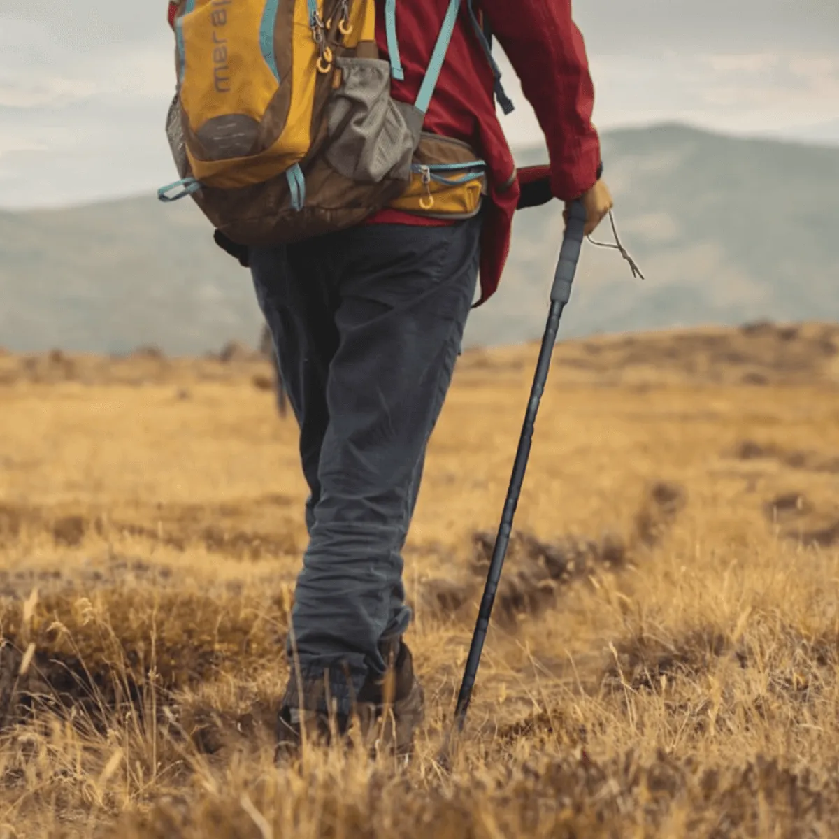 Trek Outfit Temperature Tactical Hiking Stick with Survival Tools and EVA Grip